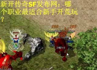 新开传奇SF发布网：哪个职业最适合新手开荒玩？