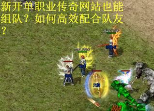 新开单职业传奇网站也能组队？如何高效配合队友？