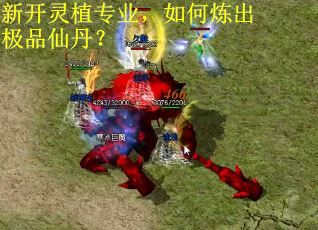 新开灵植专业，如何炼出极品仙丹？