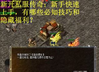 新开私服传奇：新手快速上手，有哪些必知技巧和隐藏福利？