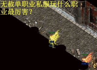 无赦单职业私服玩什么职业最厉害？