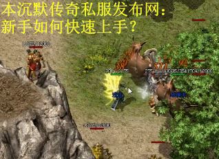 本沉默传奇私服发布网：新手如何快速上手？