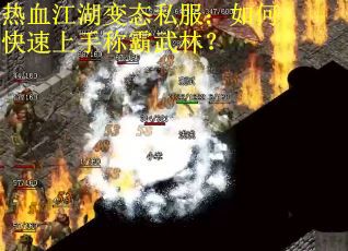 热血江湖变态私服：如何快速上手称霸武林？