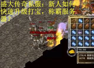 盛大传奇私服：新人如何快速升级打宝，称霸服务器？