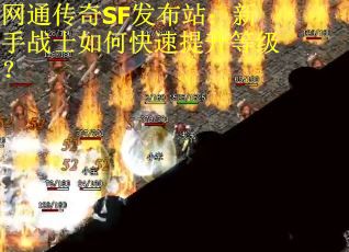 网通传奇SF发布站：新手战士如何快速提升等级？