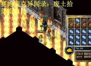 赛博朋克异闻录：废土拾荒指南？