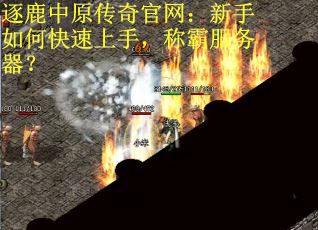 逐鹿中原传奇官网：新手如何快速上手，称霸服务器？