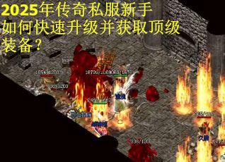 2025年传奇私服新手如何快速升级并获取顶级装备？