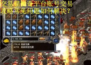 交易猫传奇平台账号交易攻略常见问题如何解决？
