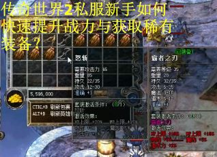传奇世界2私服新手如何快速提升战力与获取稀有装备？