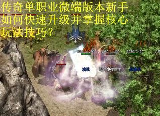 传奇单职业微端版本新手如何快速升级并掌握核心玩法技巧？