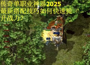 传奇单职业神器2025最新搭配技巧如何快速提升战力？