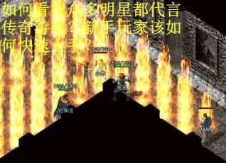 如何看待众多明星都代言传奇游戏？新手玩家该如何快速上手？