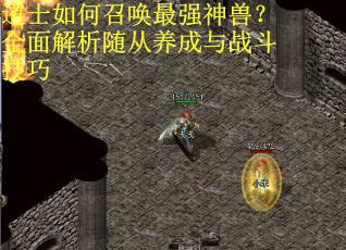 道士如何召唤最强神兽？全面解析随从养成与战斗技巧