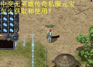 中变无英雄传奇私服元宝怎么获取和使用？