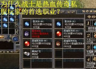 为什么战士是热血传奇私服玩家的首选职业？