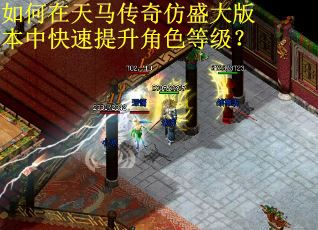 如何在天马传奇仿盛大版本中快速提升角色等级？