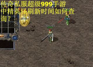 传奇私服超级999手游中精英怪刷新时间如何查询？