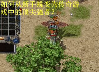 如何从新手蜕变为传奇游戏中的顶尖强者？