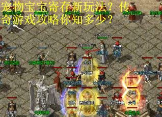 宠物宝宝寄存新玩法？传奇游戏攻略你知多少？