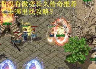 有没有微变长久传奇推荐？去哪里找攻略？