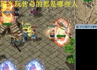 现在玩传奇的都是哪些人？