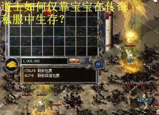 道士如何仅靠宝宝在传奇私服中生存? 道士如何仅靠宝宝在传奇私服中生存?