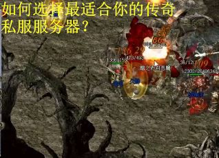 如何选择最适合你的传奇私服服务器？