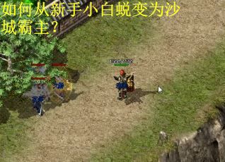 如何从新手小白蜕变为沙城霸主？