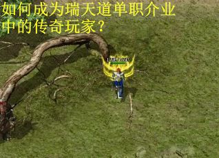 如何成为瑞天道单职介业中的传奇玩家？