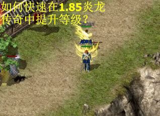 如何快速在1.85炎龙传奇中提升等级？