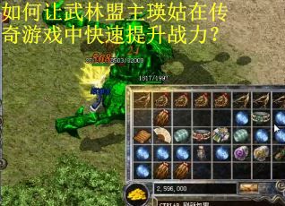 如何让武林盟主瑛姑在传奇游戏中快速提升战力？
