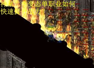 神墓二季变态单职业如何快速提升战力？