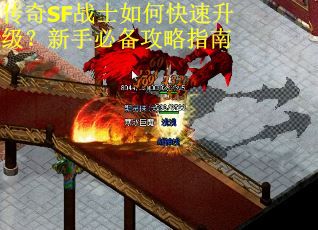 传奇SF战士如何快速升级?新手必备攻略指南 传奇SF战士如何快速升级?新手必备攻略指南