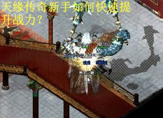 天缘传奇新手如何快速提升战力？