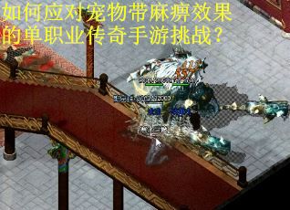 如何应对宠物带麻痹效果的单职业传奇手游挑战？