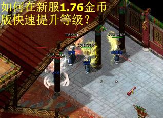 如何在新服1.76金币版快速提升等级？